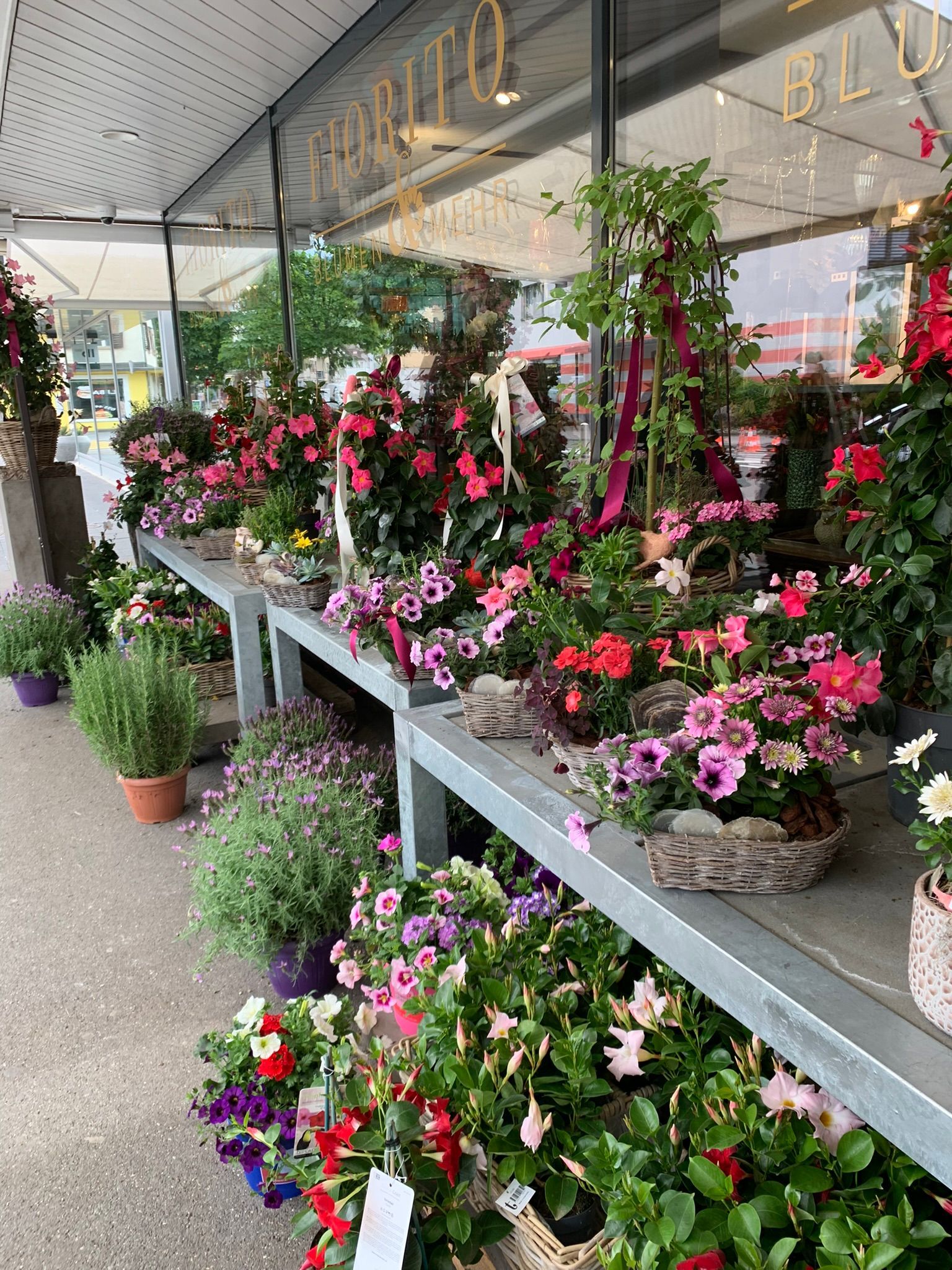 FIORITO Blumen & Mehr