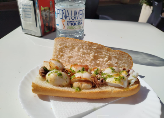 Un sándwich en un plato con una botella de agua de Peña Umbra al fondo.