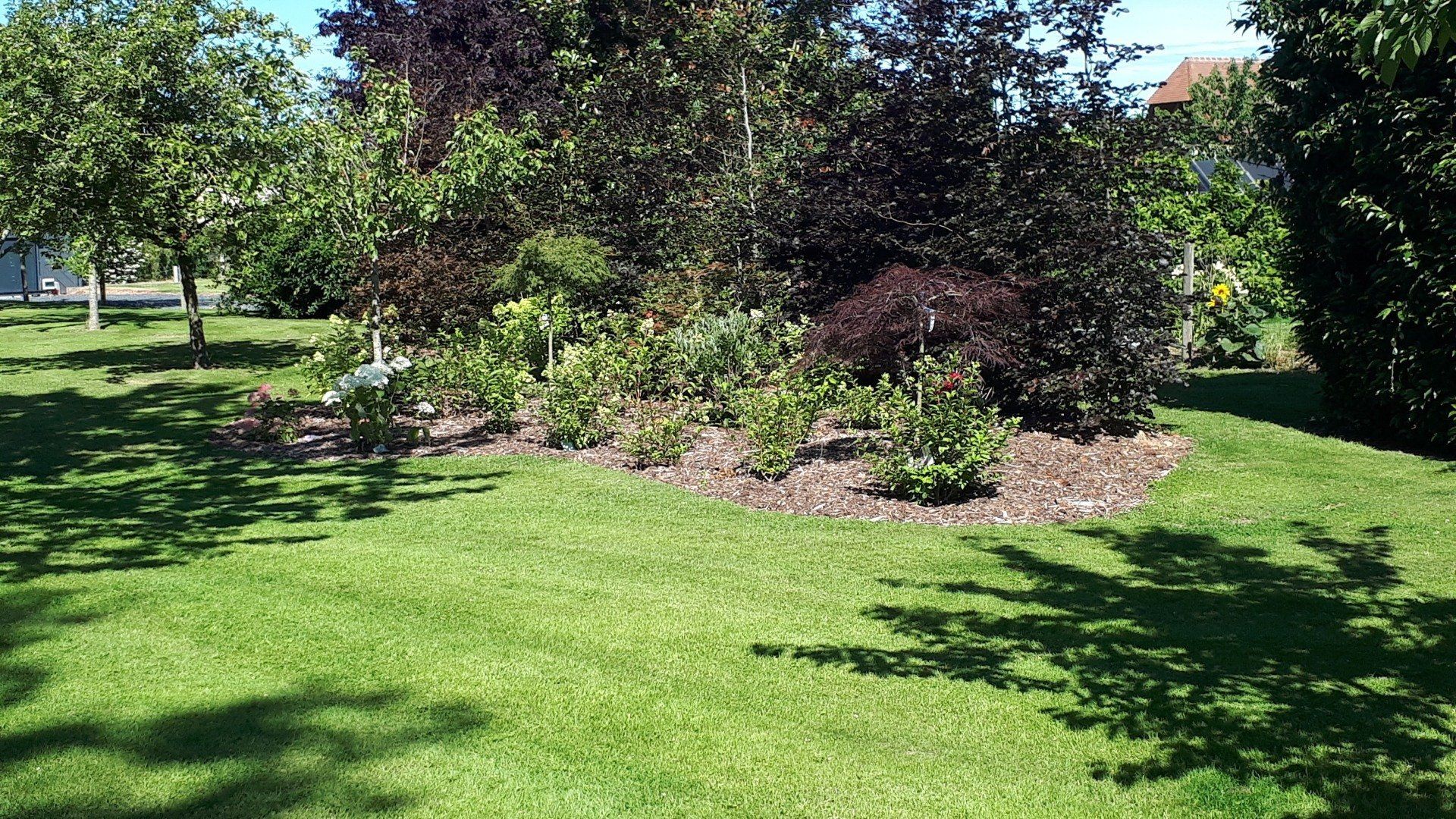 Parterres de plantes