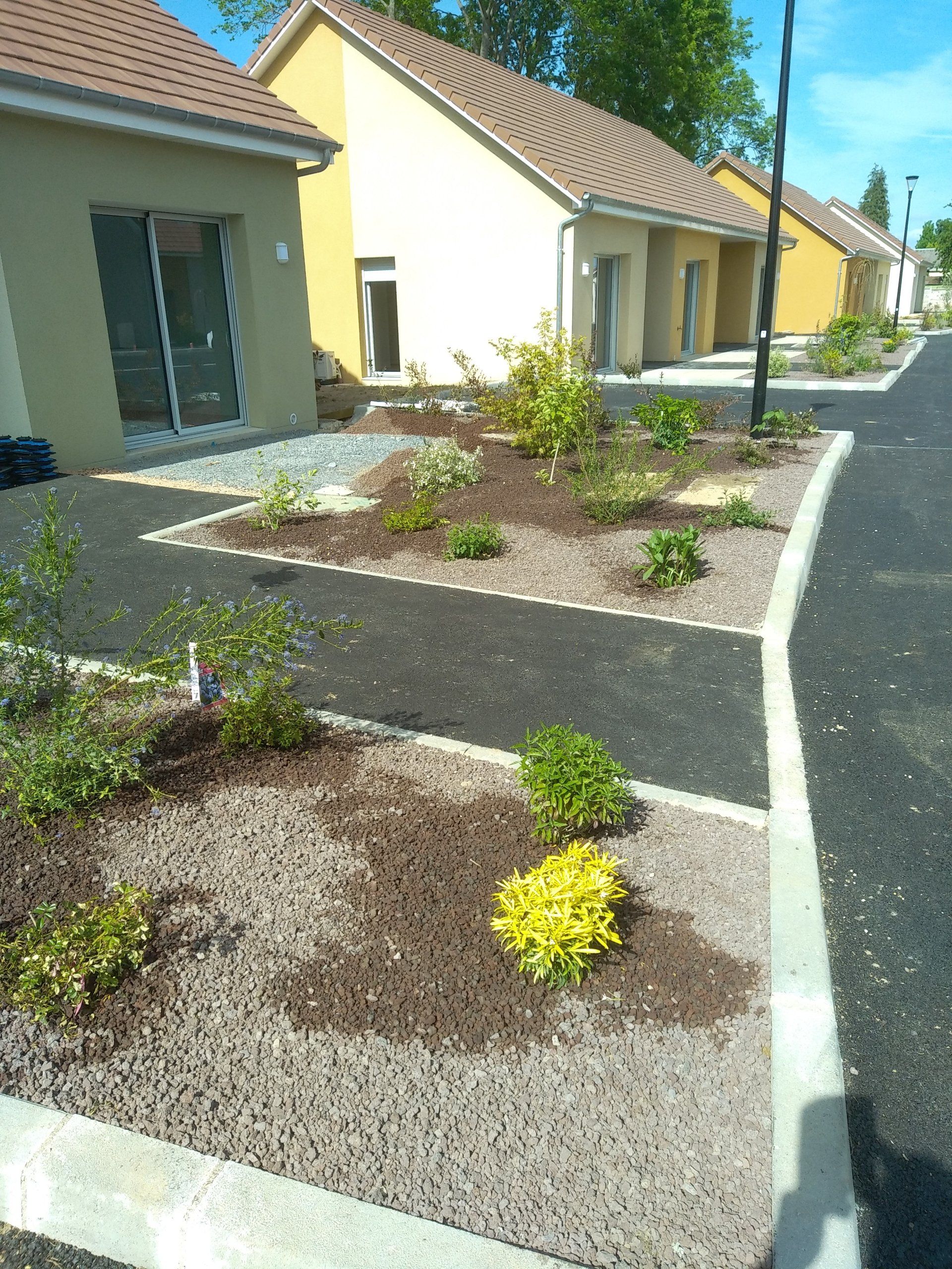 Aménagement parterre de fleurs