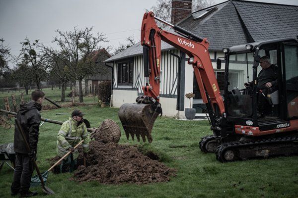 Plantation d'un arbre