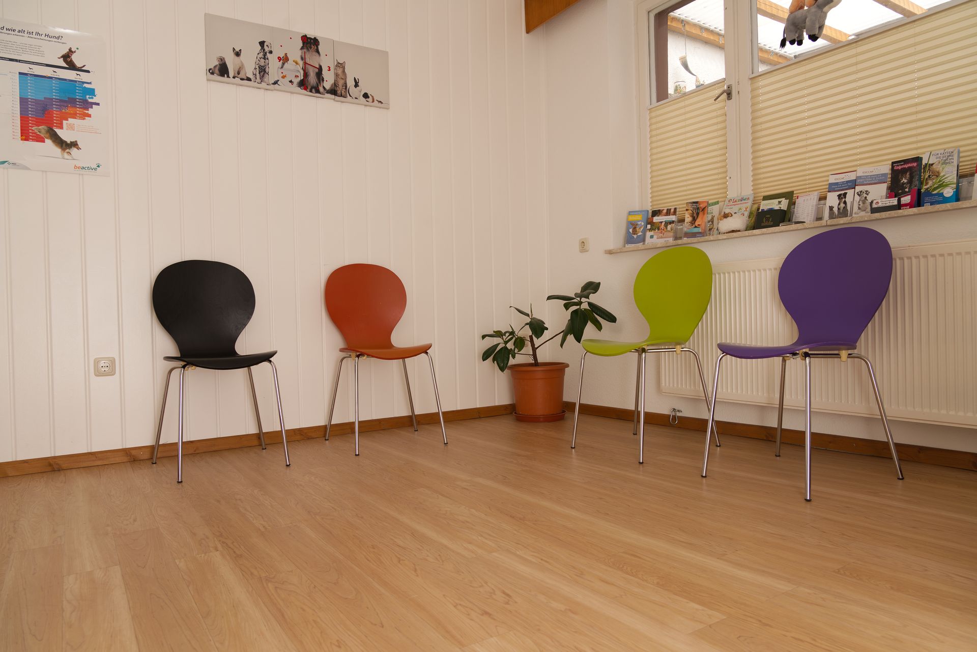 Gemütlicher Wartebereich mit bunten Stühlen der Tierarztpraxis Hegla Wehr.