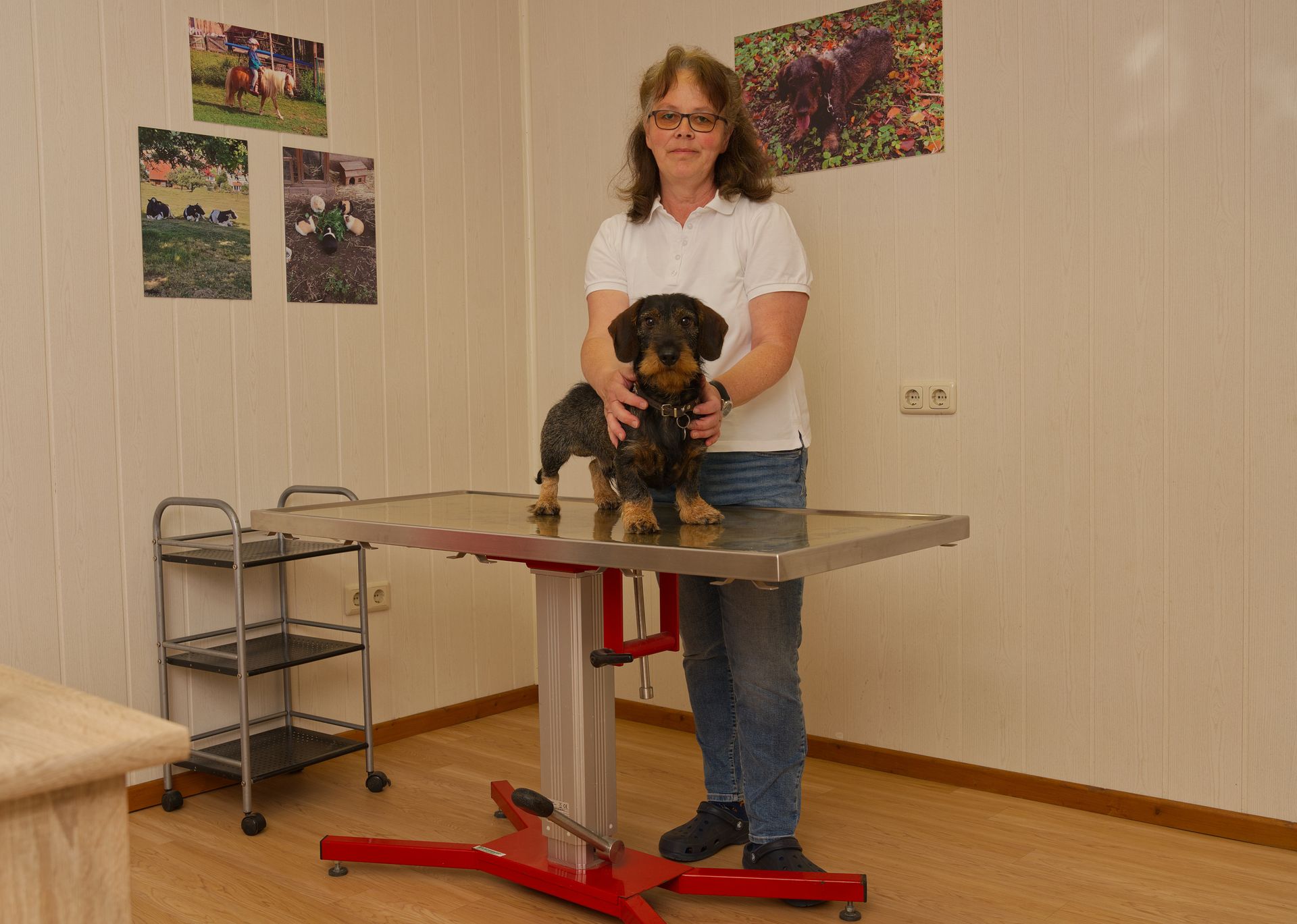 Tierärztin Helga Wehr untersucht einen Hund im freundlichen Behandlungszimmer