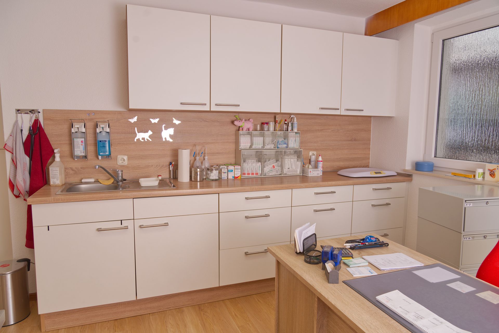 Behandlungszimmer der Tierarztpraxis Hegla Wehr, professionell und freundlich eingerichtet.