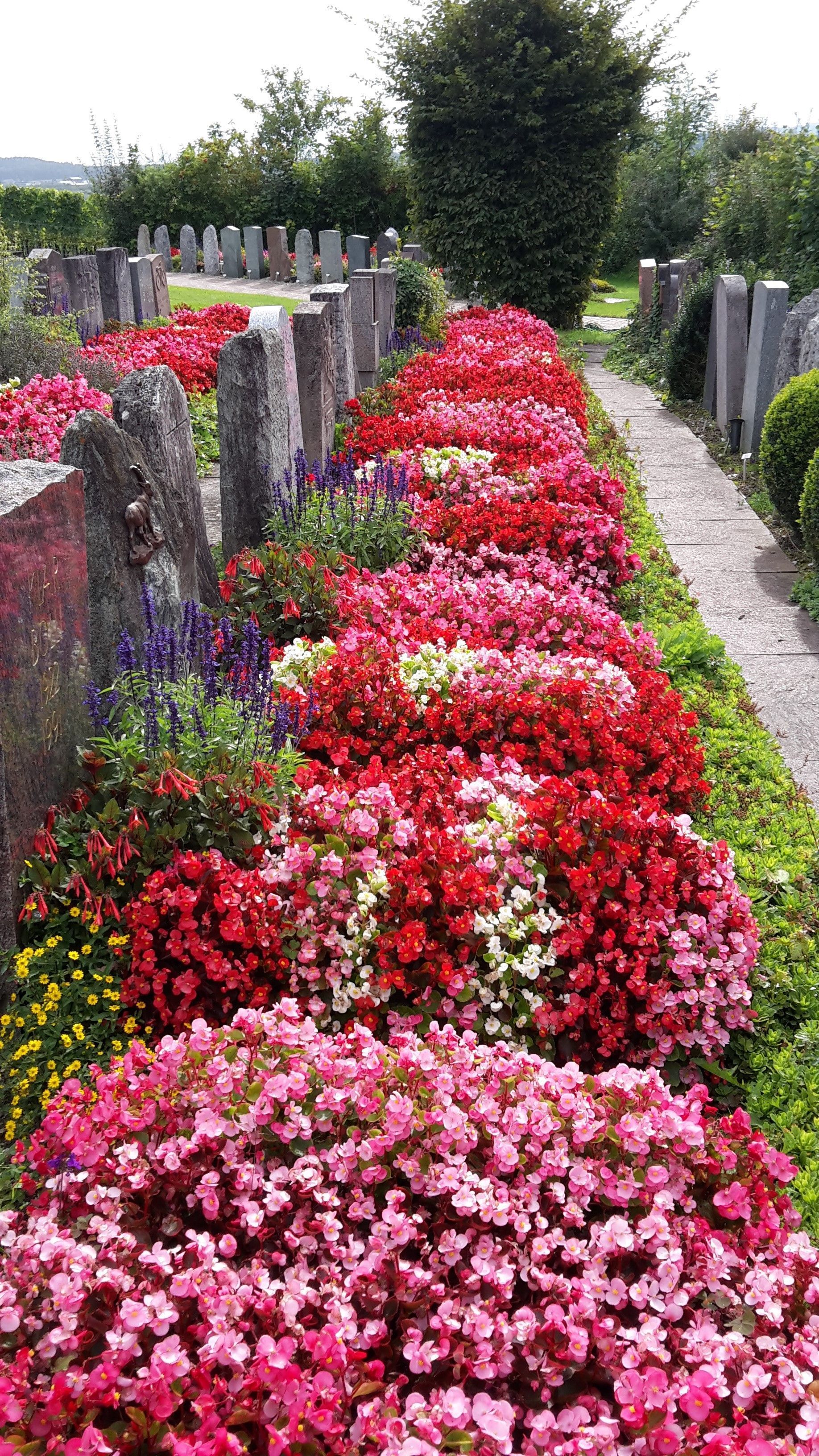 alt-Werner Baur Gartenbau & Gartenpflege