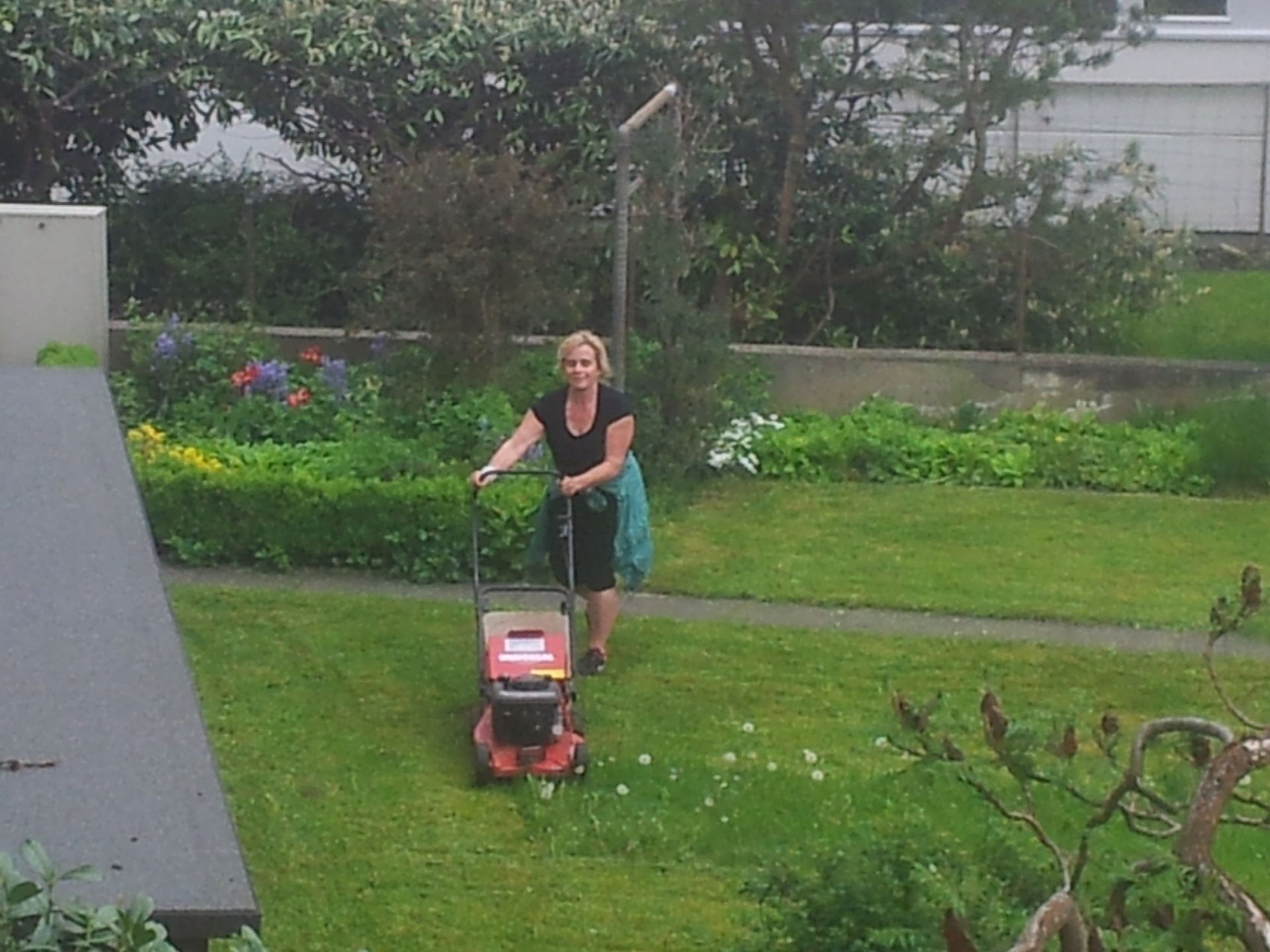 alt-Werner Baur Gartenbau & Gartenpflege