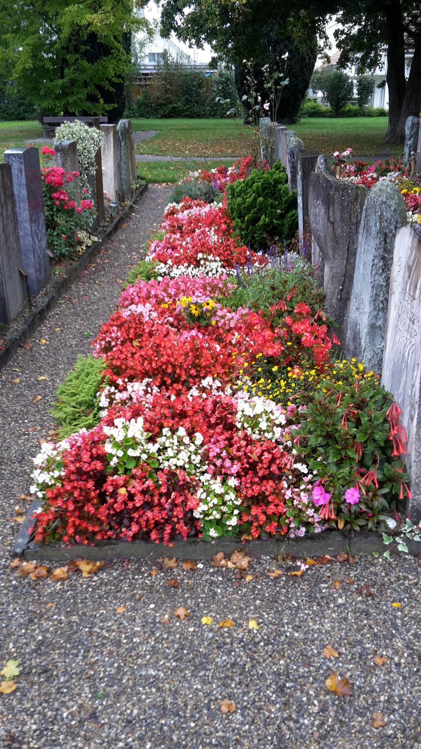 alt-Werner Baur Gartenbau & Gartenpflege