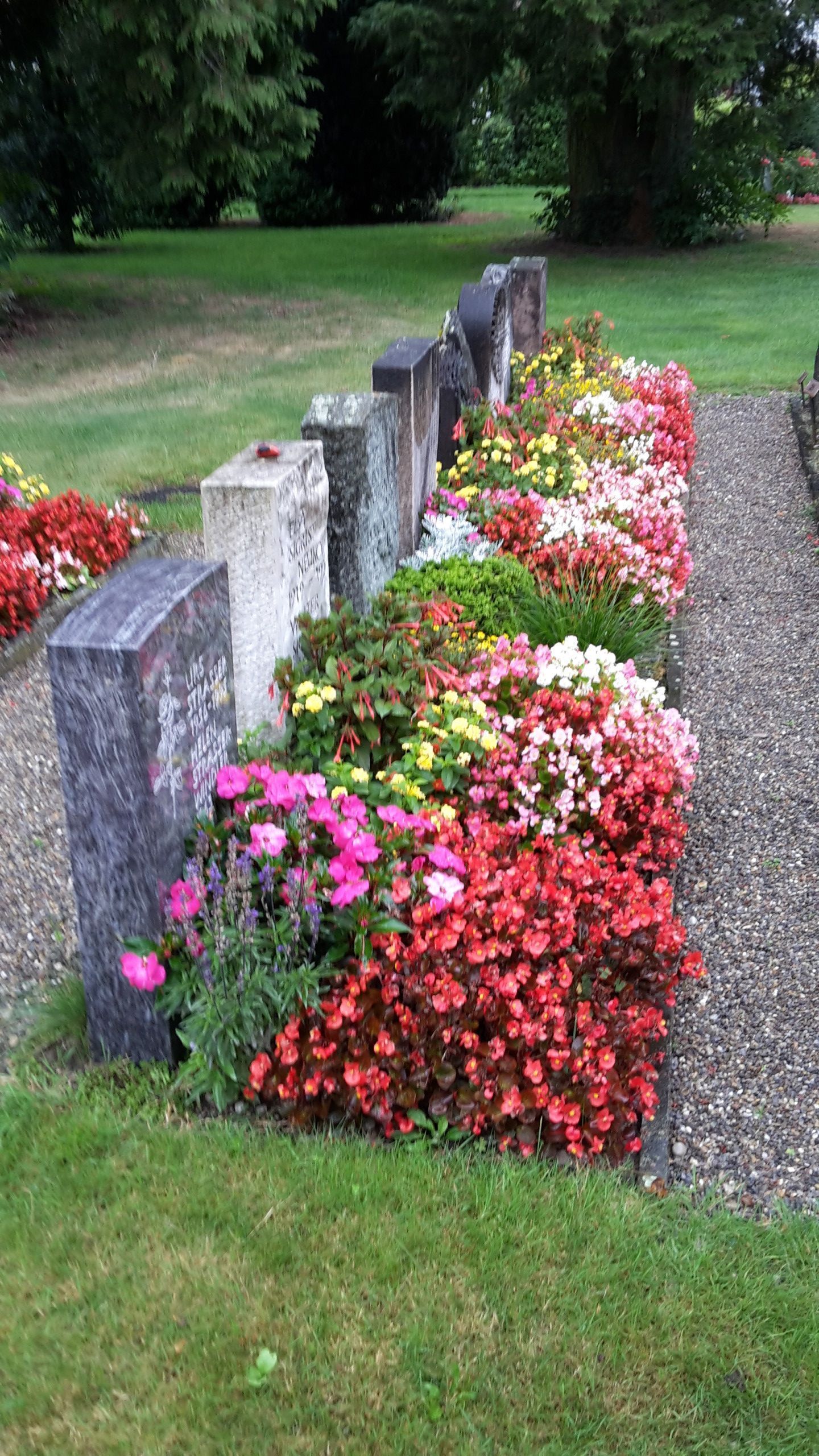 alt-Werner Baur Gartenbau & Gartenpflege
