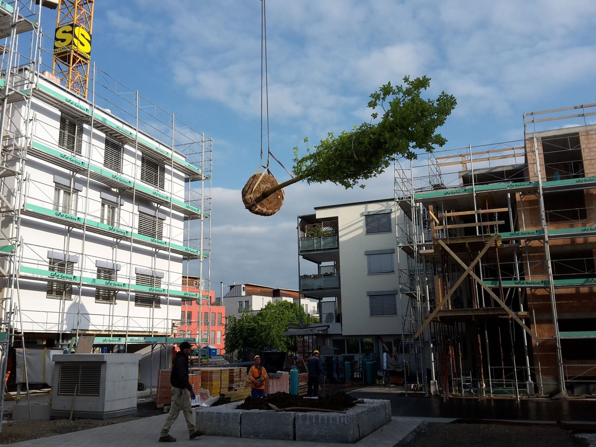 alt-Werner Baur Gartenbau & Gartenpflege