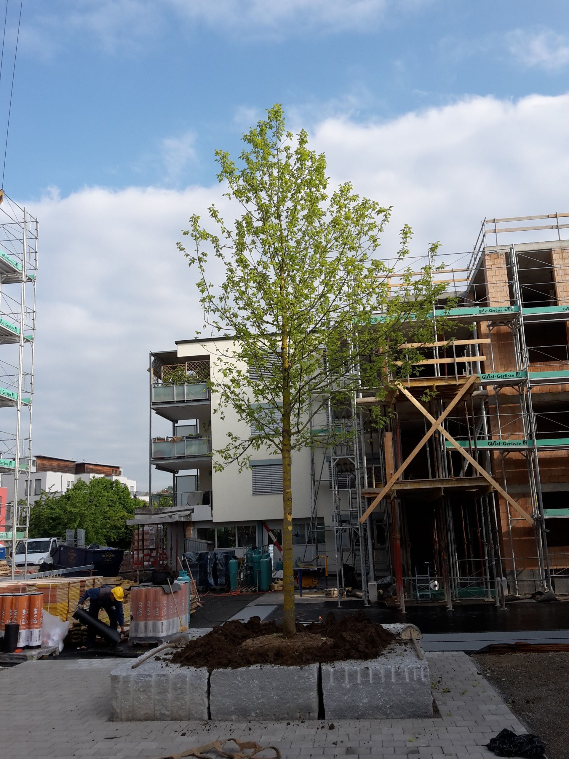 alt-Werner Baur Gartenbau & Gartenpflege