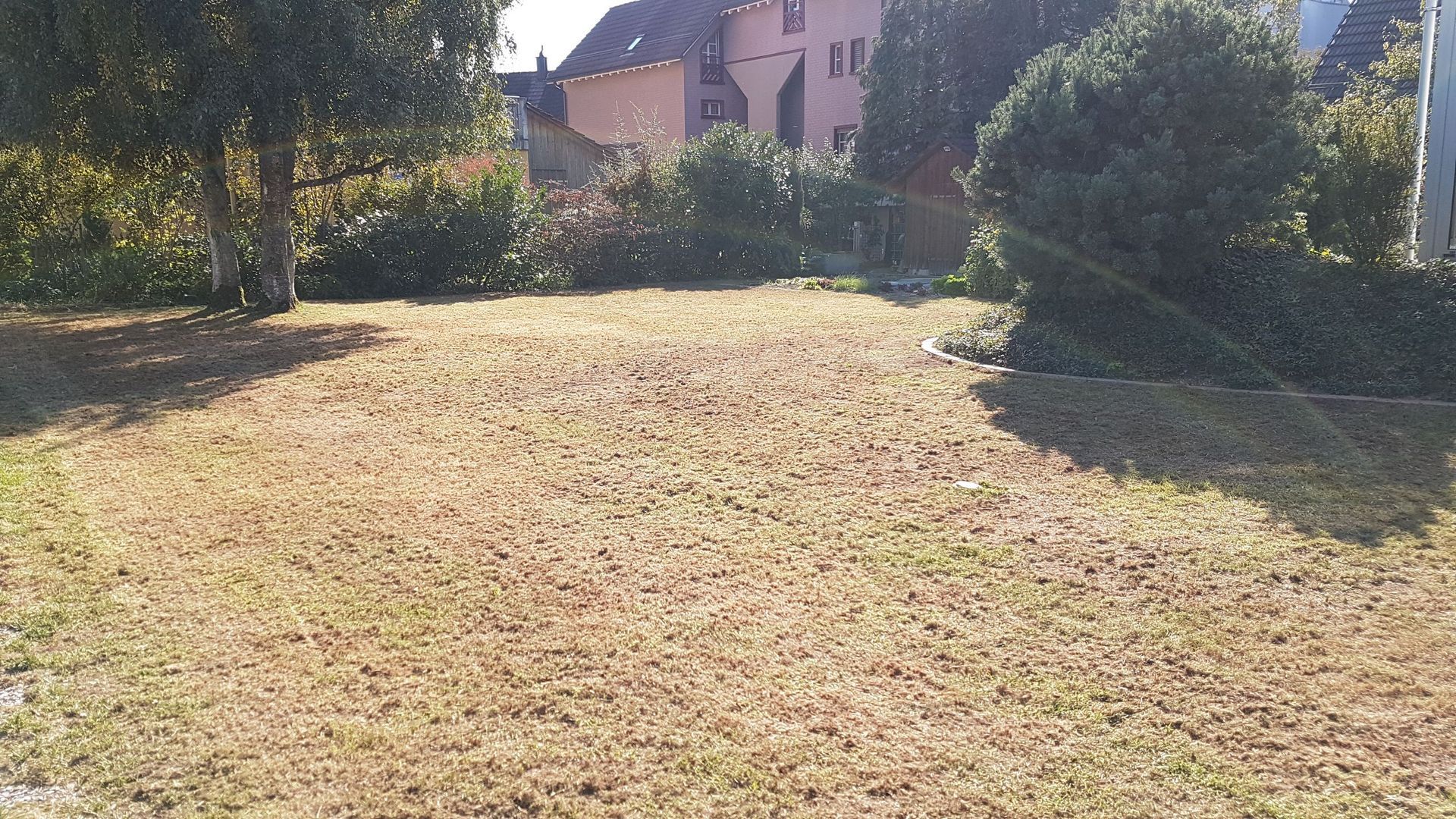 alt-Werner Baur Gartenbau & Gartenpflege