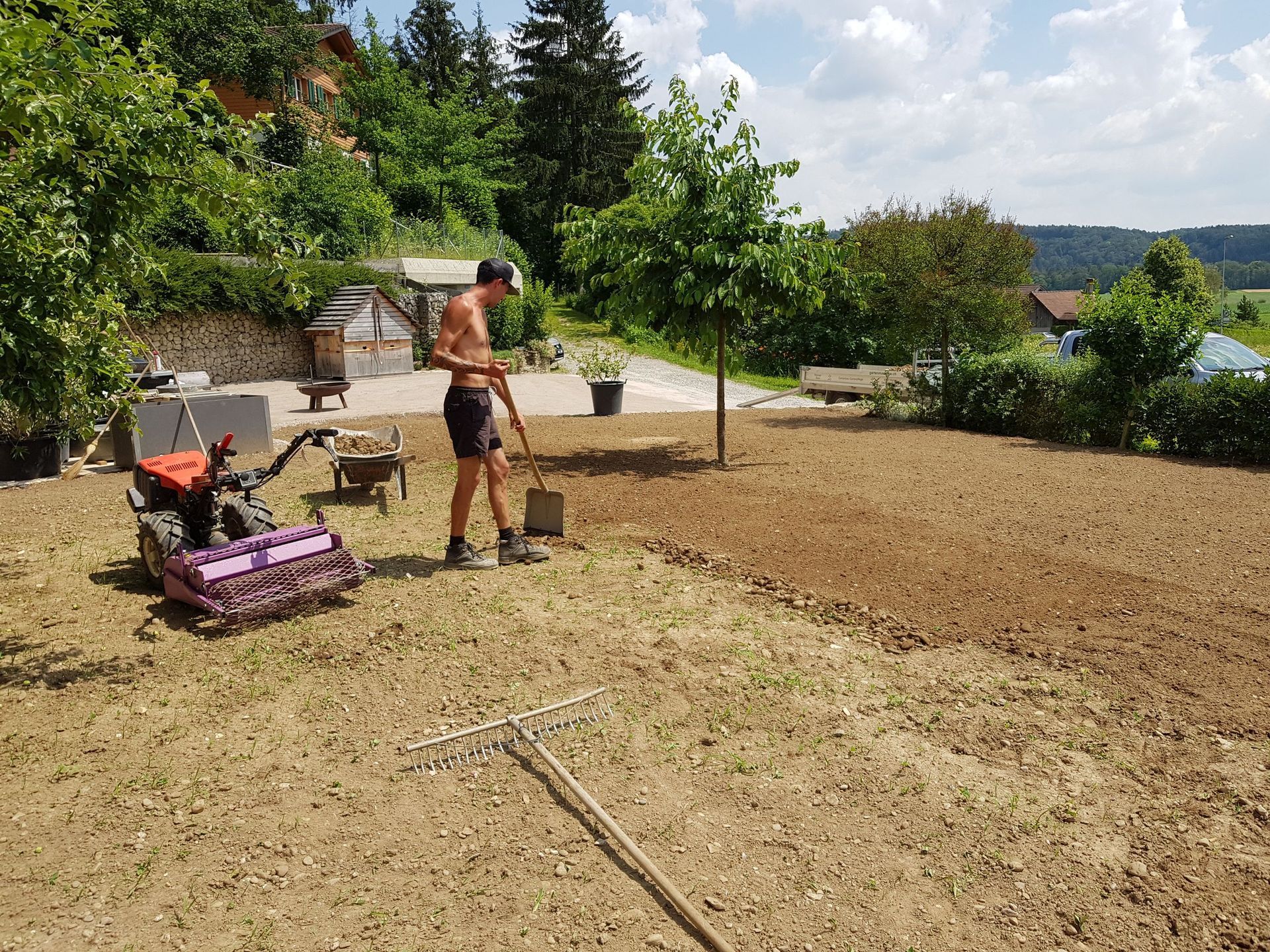 alt-Werner Baur Gartenbau & Gartenpflege