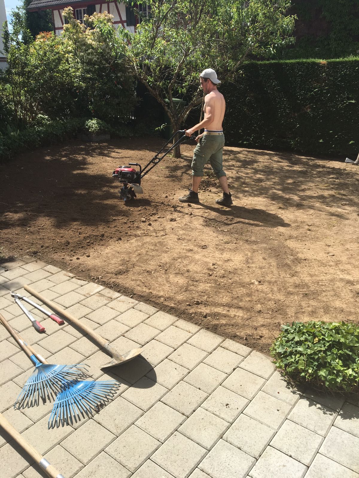 alt-Werner Baur Gartenbau & Gartenpflege