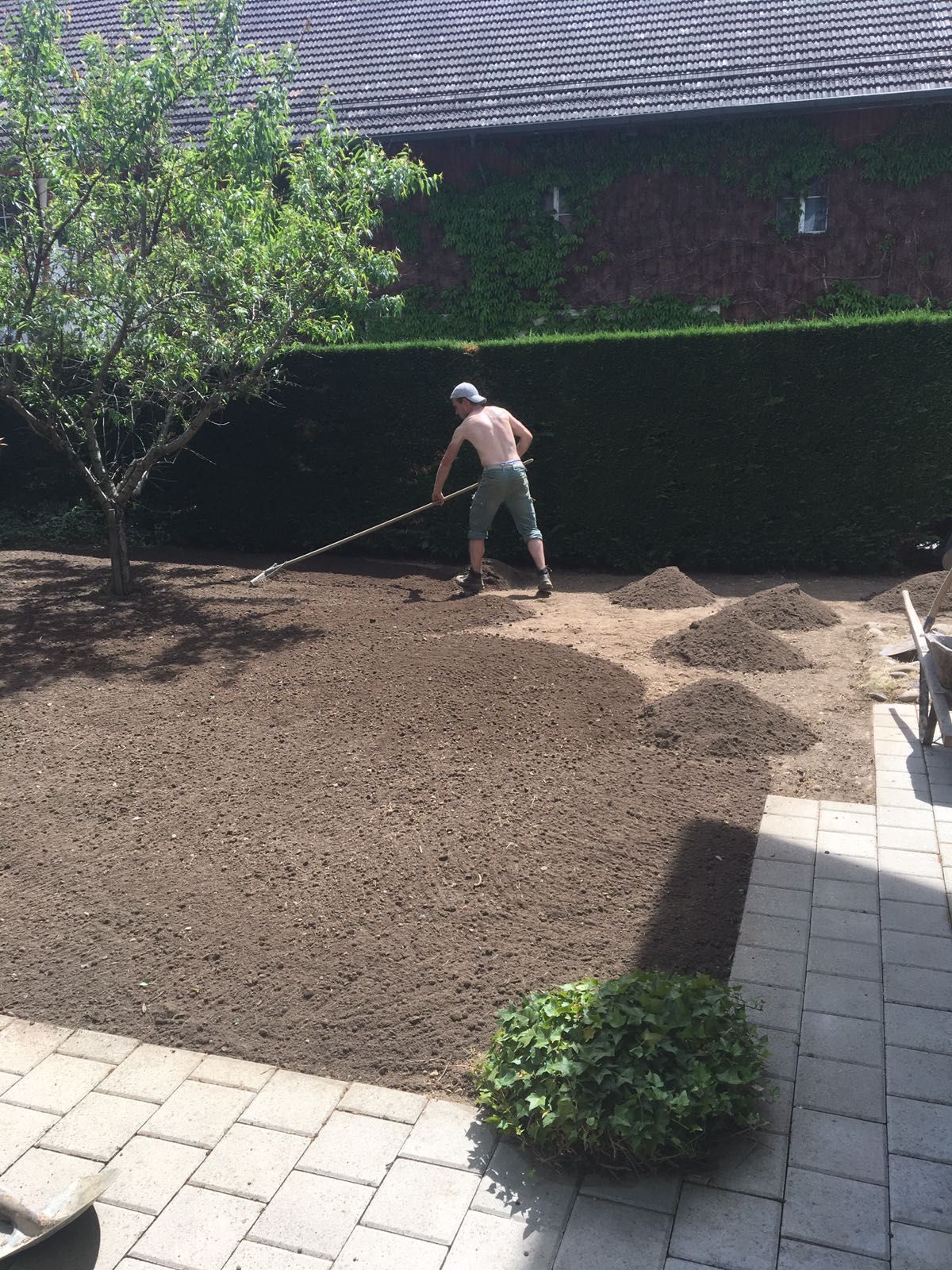 alt-Werner Baur Gartenbau & Gartenpflege