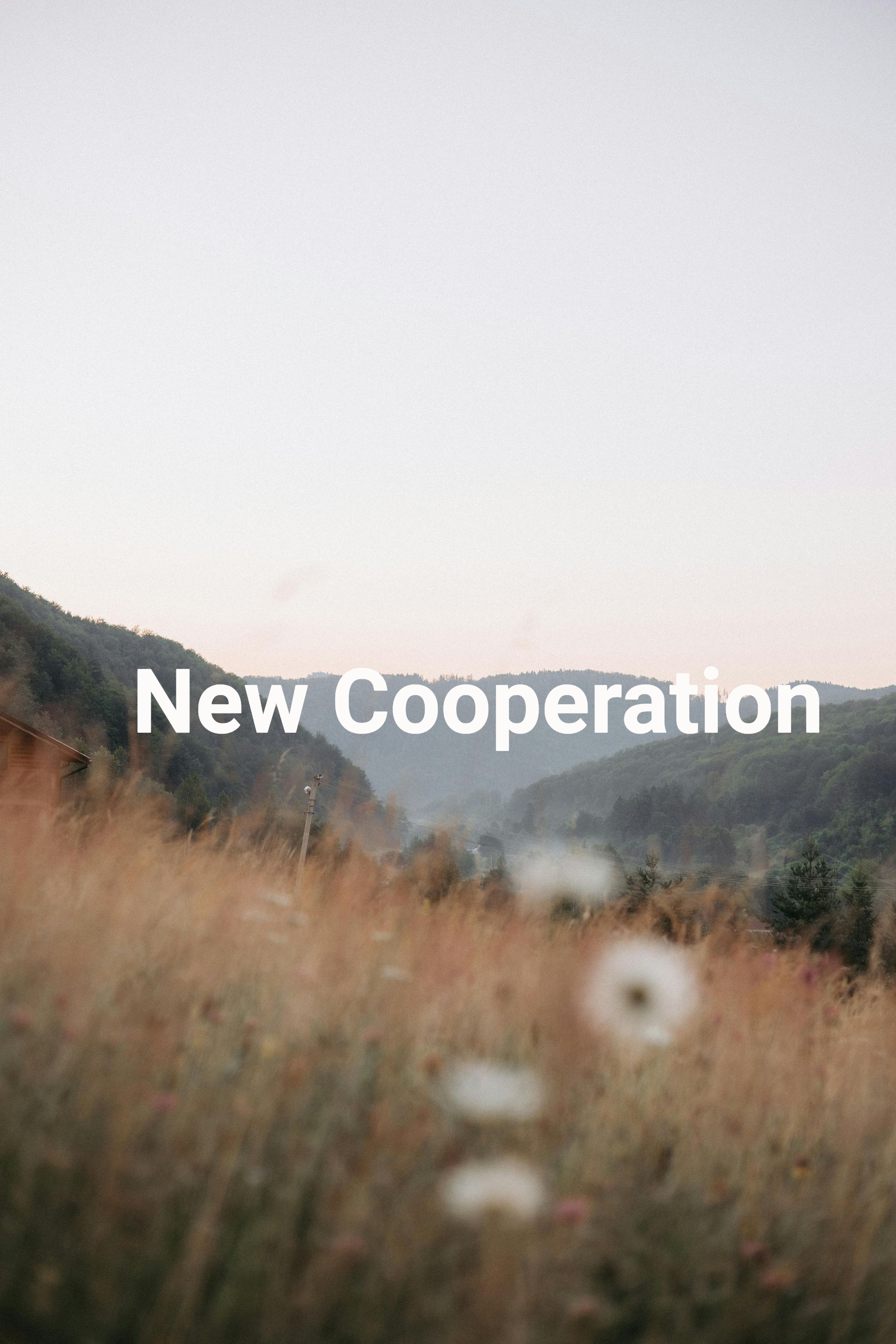 Pitkän, kultaisen ruohon peittämä niitty kaukaisten kukkuloiden reunalla hämärässä, ja sen päällä lukee valkoisella 