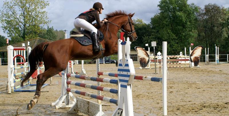 Equitation, CSO, concours, stages équestres
