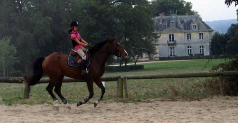 Equitation, Centre équestre, club hippique
