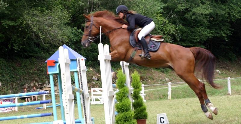 Equitation - CSO - Poney Club de Bergerac