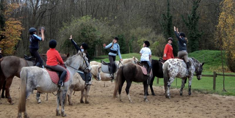 Horse-ball, pony-games, CSO, dressage