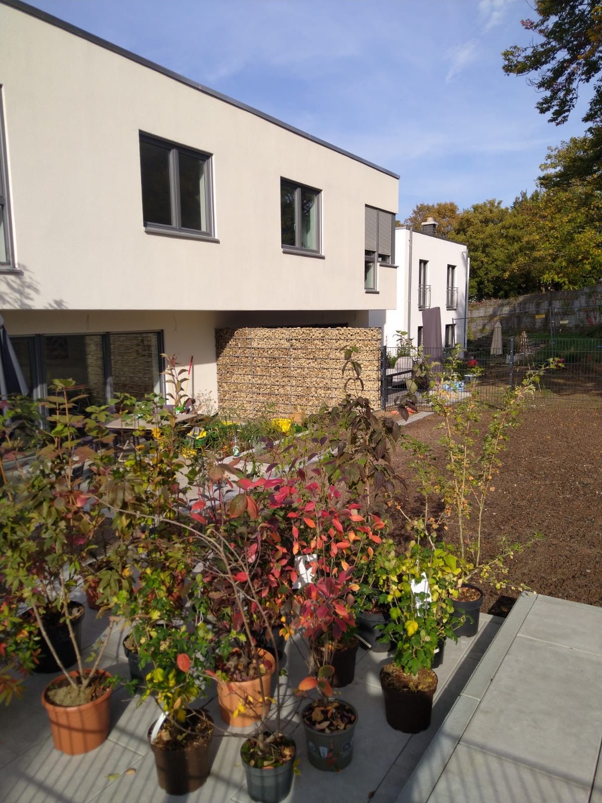 Modernes weißes Gebäude mit gestapeltem Holz und Topfpflanzen im Vordergrund, sonniger Tag.