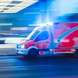 Eichenprozessionsspinner bekämpfen in Erlangen-Nürnberg