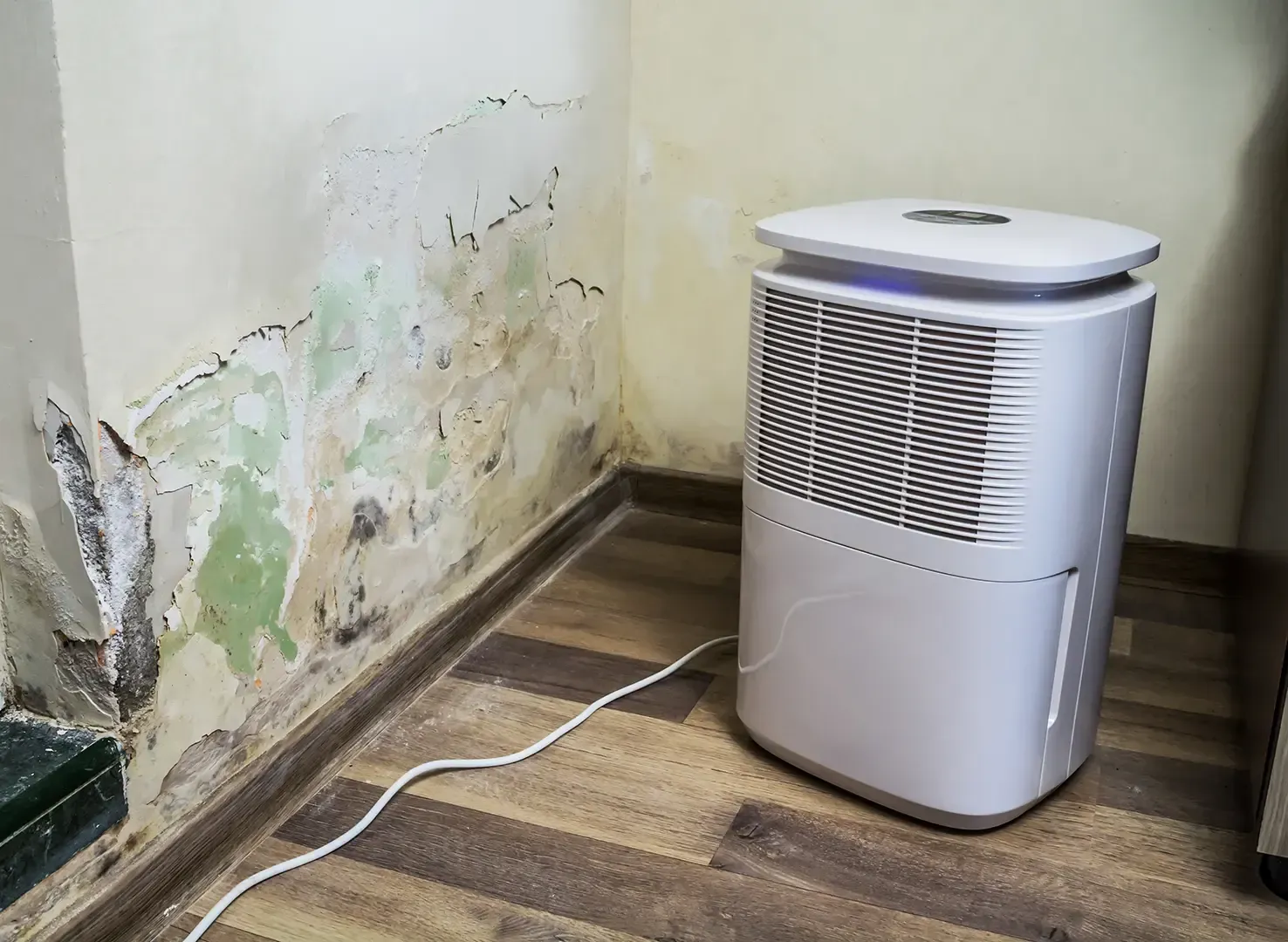 Luftentfeuchter neben einer Wand mit abblätternder Farbe, die Anzeichen von Schimmel und Wasserschäden in einer Ecke aufweist.