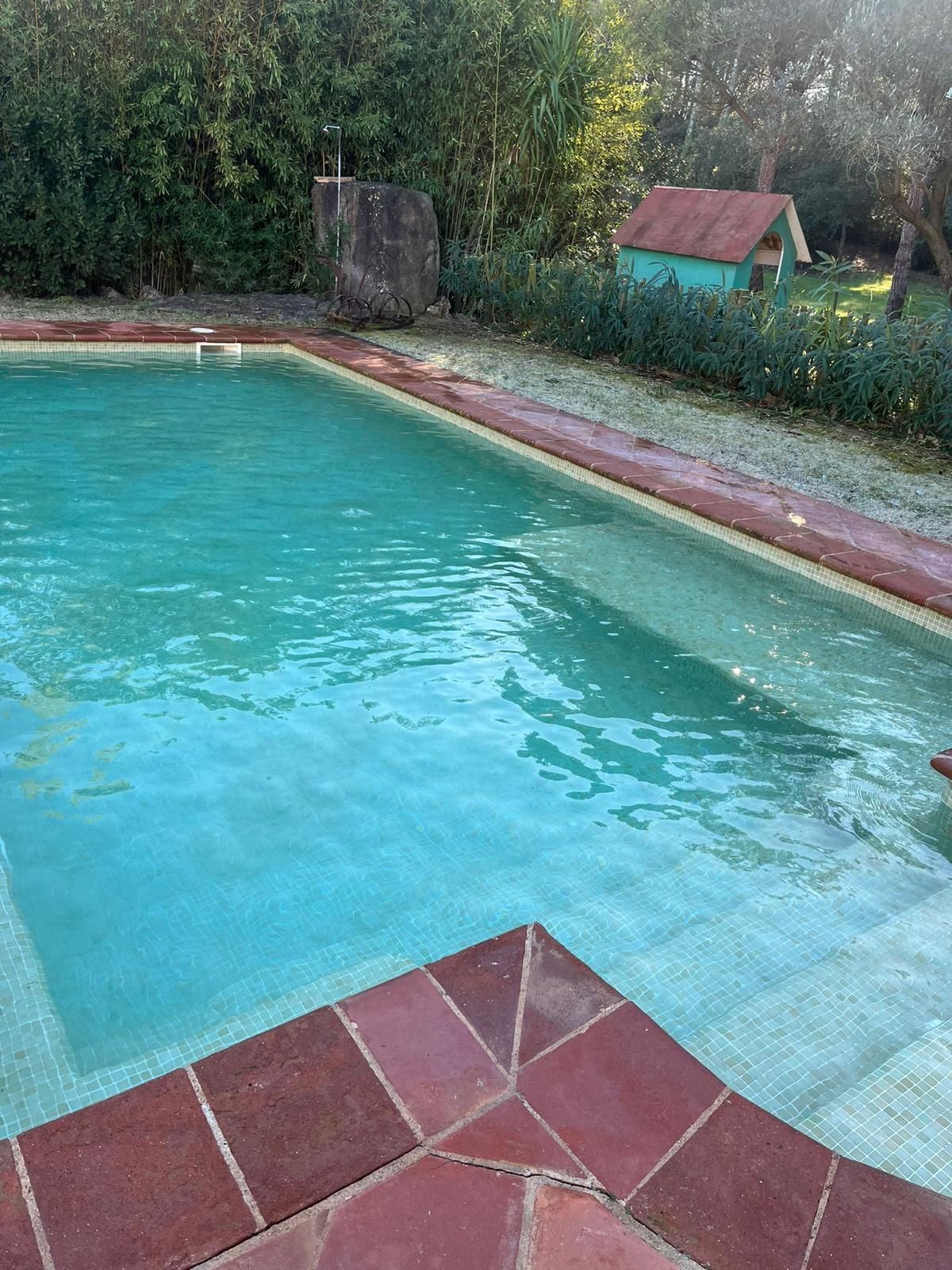 Piscina exterior con agua turquesa y borde de azulejos rojos, junto a un jardín con césped y un pequeño cobertizo.