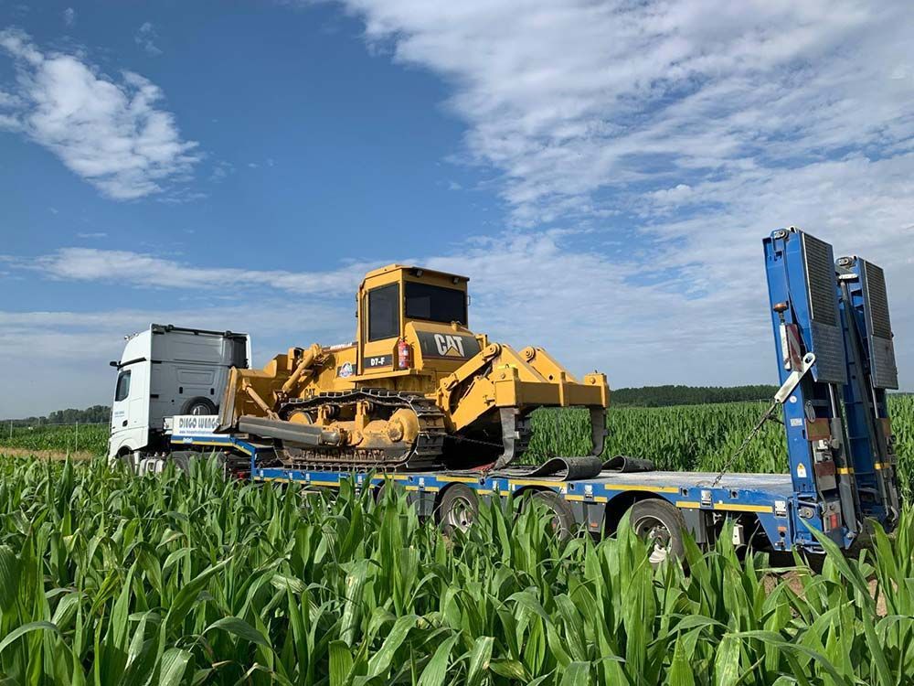 Una excavadora está siendo transportada en un remolque a través de un campo de maíz.