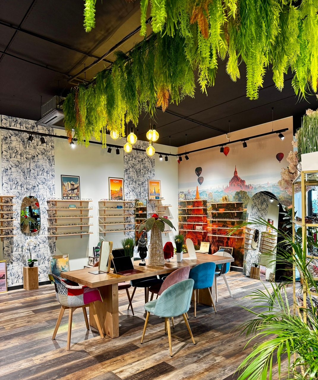 Intérieur d'un magasin de lunettes avec parquet, chaises colorées et plantes suspendues