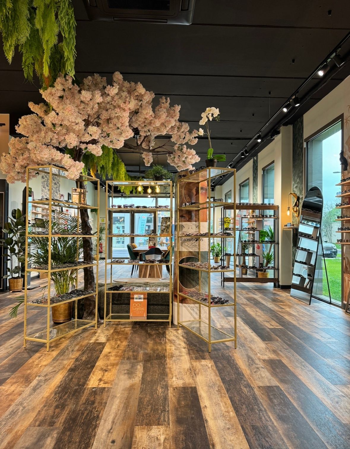 Intérieur d'une boutique de Lunetier.
