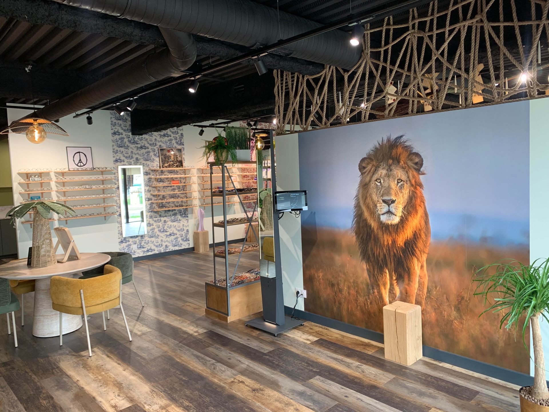 Intérieur d'un cabinet d'optométrie avec une fresque de lion et des présentoirs de lunettes