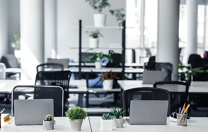 Espacio de trabajo de oficina moderno con escritorios blancos, sillas grises y plantas en macetas.