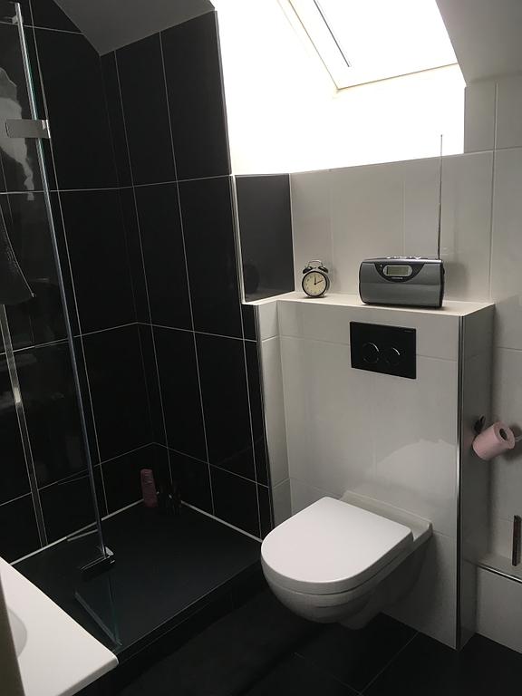 Douche et toilettes suspendues sous un velux