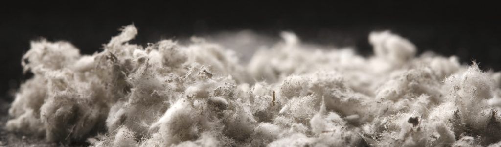 Gros plan sur un tas de matière claire et duveteuse sur fond sombre.