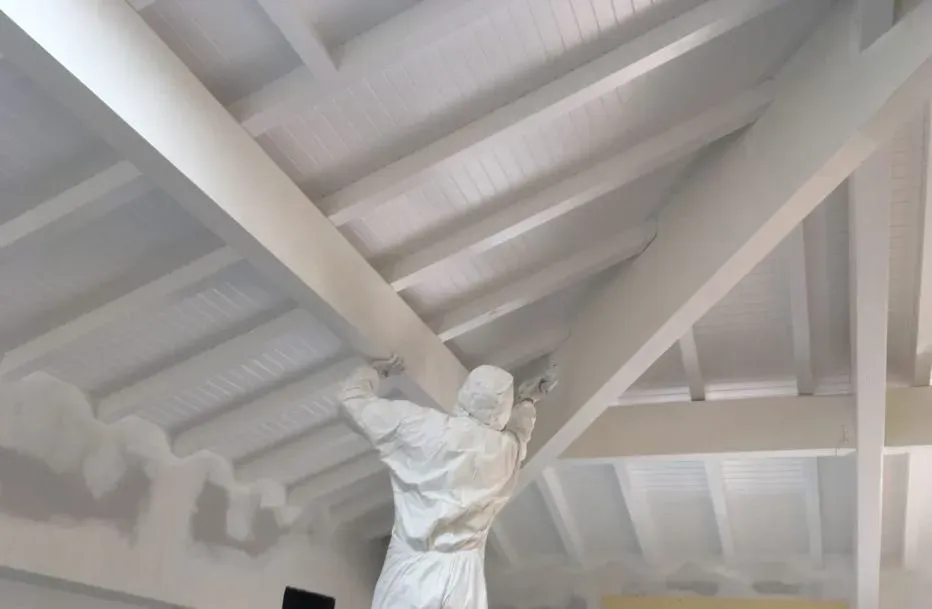 (Gignac) Traitement et peinture