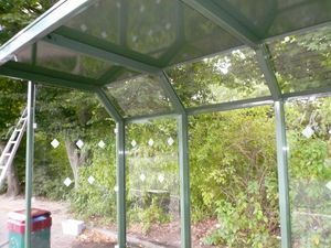 Eine Bushaltestelle mit Glasdach und Bäumen im Hintergrund.