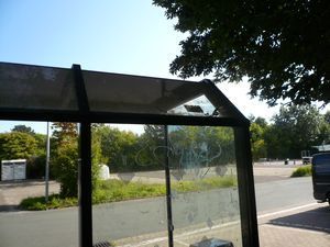 Eine Bushaltestelle mit einem zerbrochenen Fenster und einem Baum im Hintergrund