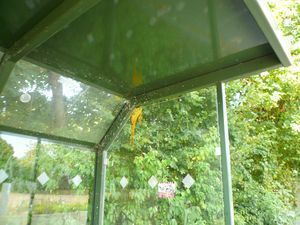 Das Innere einer Bushaltestelle mit Bäumen im Hintergrund.