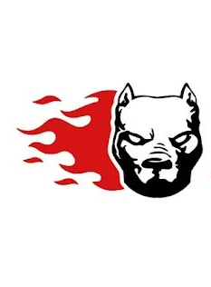 Cabeza de pitbull en blanco y negro con un rastro de llamas rojas sobre fondo blanco.