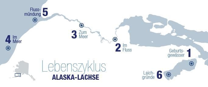 LACHSSTATION DEGERSHEIM