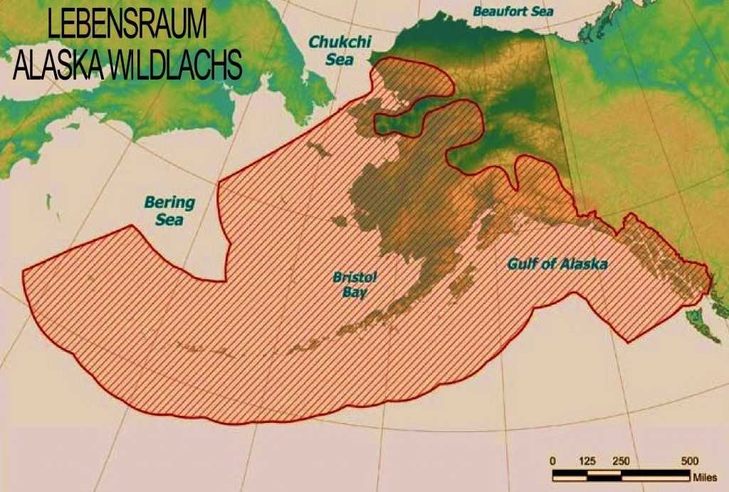 LACHSSTATION DEGERSHEIM