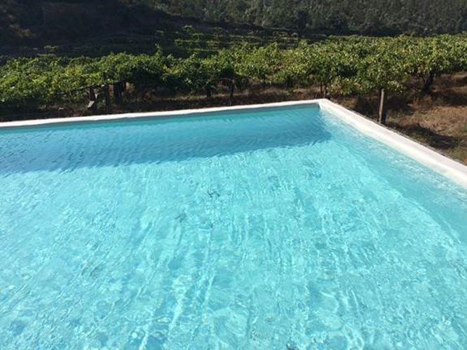 Una piscina de color azul claro con un viñedo al fondo en un día soleado.