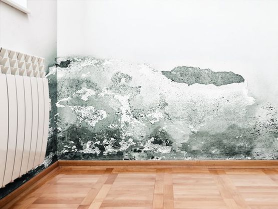 Moho que crece en una pared de una habitación con radiador y suelo de madera.