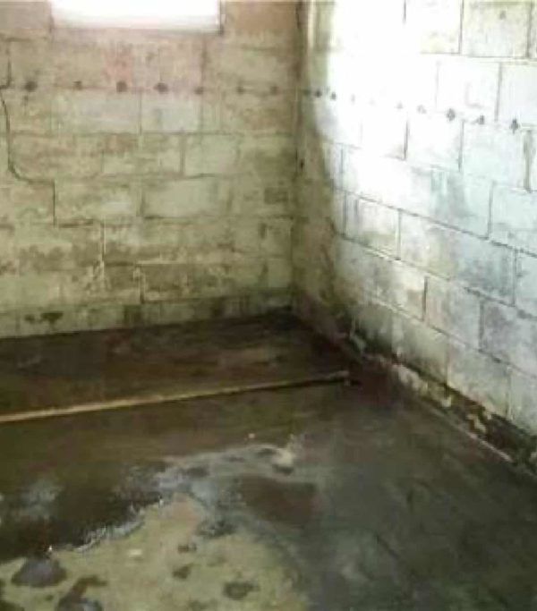 Rincón del sótano húmedo; paredes de bloques de hormigón, agua oscura en el suelo.