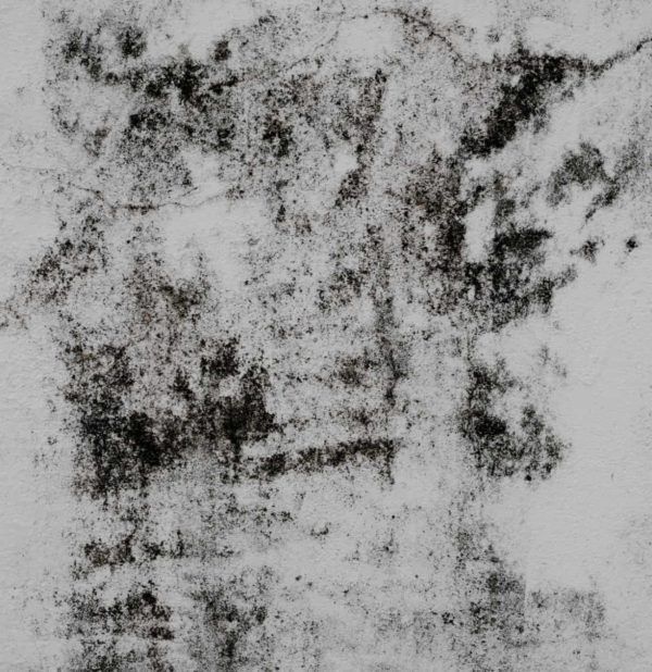 Crecimiento de moho en una pared blanca, con manchas de color gris oscuro y negro.