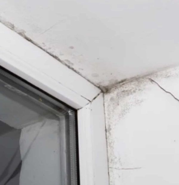 Crecimiento de moho en el marco de una ventana y la pared circundante, mostrando manchas oscuras y humedad.
