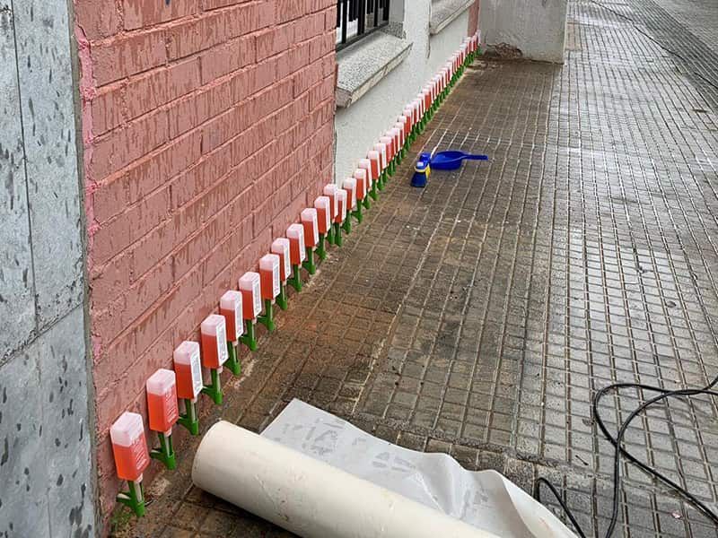 Fila de decoraciones de tulipanes rojos y blancos a lo largo de una pared de ladrillos, acera.