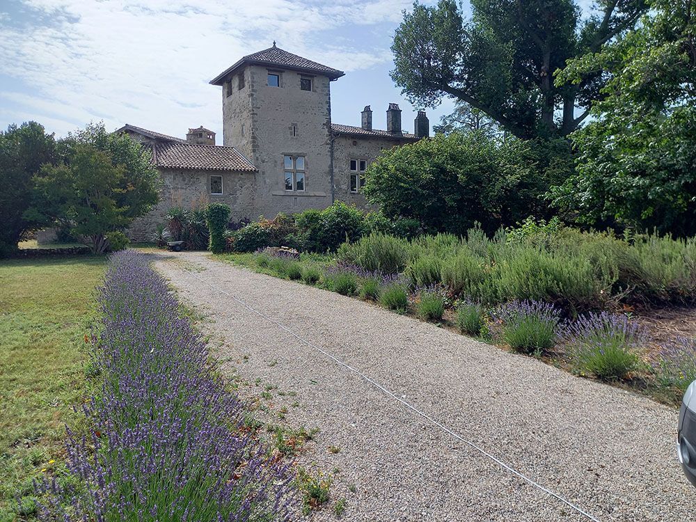 Pelouse verte avec un arbre en fleurs; une petite tranchée creusée, des machines et une corde jaune présentes.