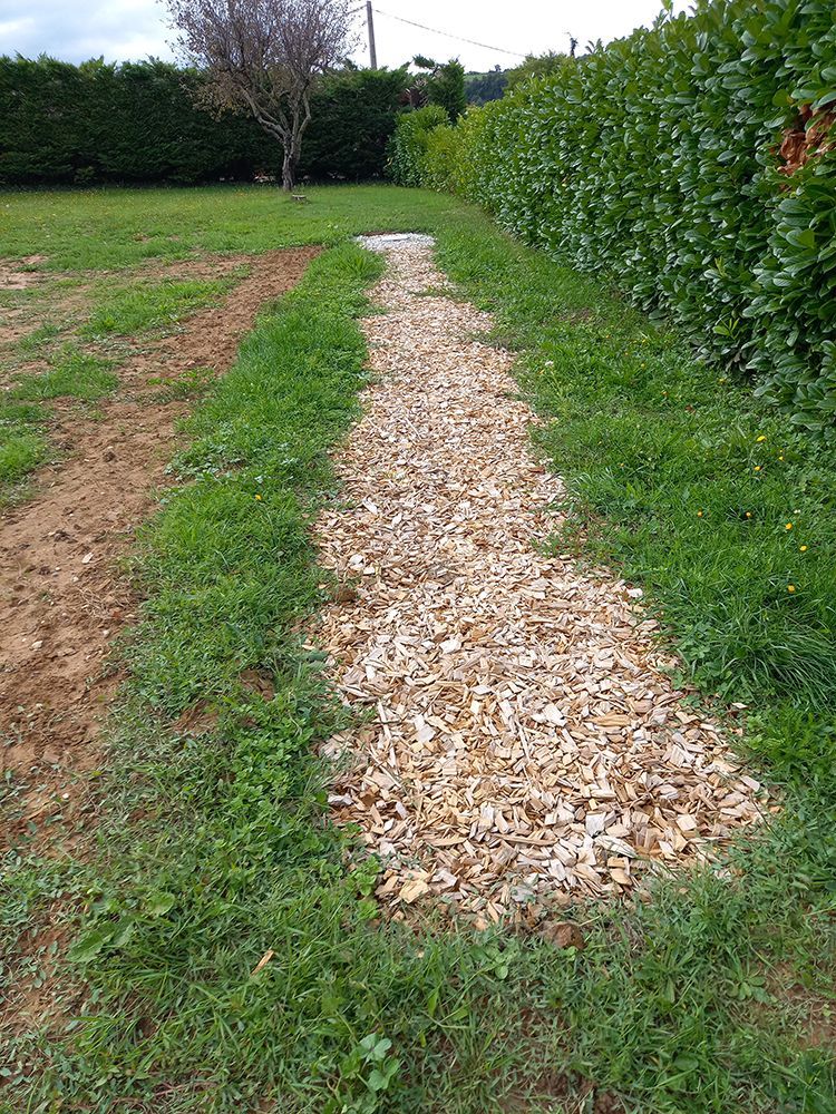 Un chemin de copeaux de bois dans une cour herbeuse à côté d'une haie.