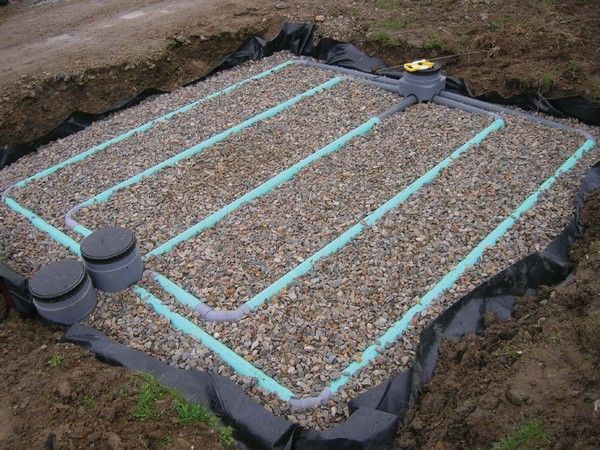 Rangées de semis paillées de copeaux de bois dans un jardin. Plantes vertes, terre brune, dalles grises.